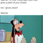 other memes Funny, Teacher text: Teacher: for your final project you must grow a plant of your choice me: *grows weed* Teacher  Funny, Teacher