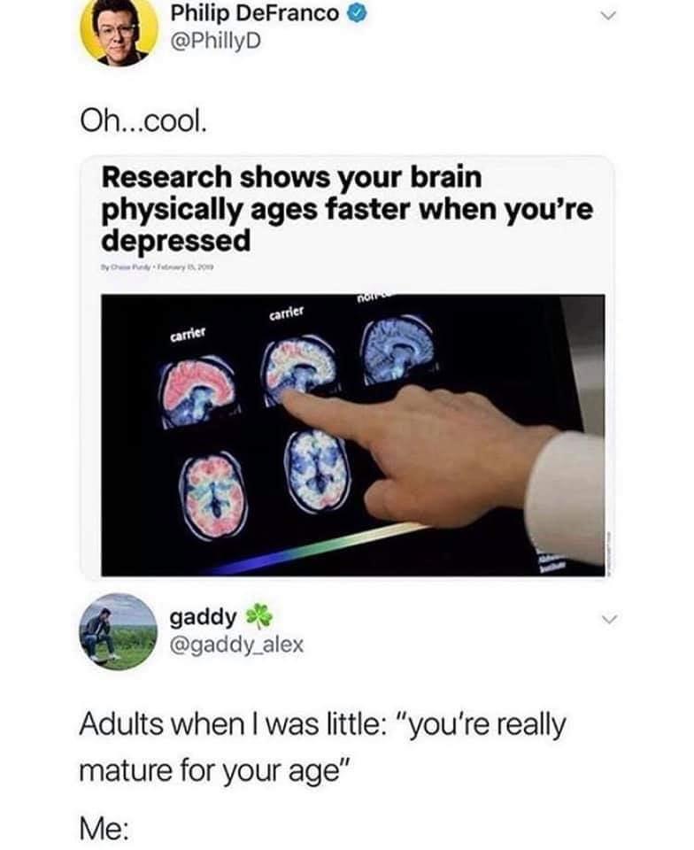 Depression,  depression memes Depression,  text: Philip DeFranco O @PhillyD Oh...cool. Research shows your brain physically ages faster when you're depressed gaddy @gaddy_alex Adults when I was little: 