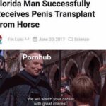 other memes Funny, Florida, Florida Man, Horse, Zen, Tripod text: Florida Man Successfully Receives Penis Transplant From Horse I