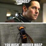 Avengers Memes Thanos,  text: 町 ① " 0 "YOU W 聞 0 田 WASP  Thanos, 