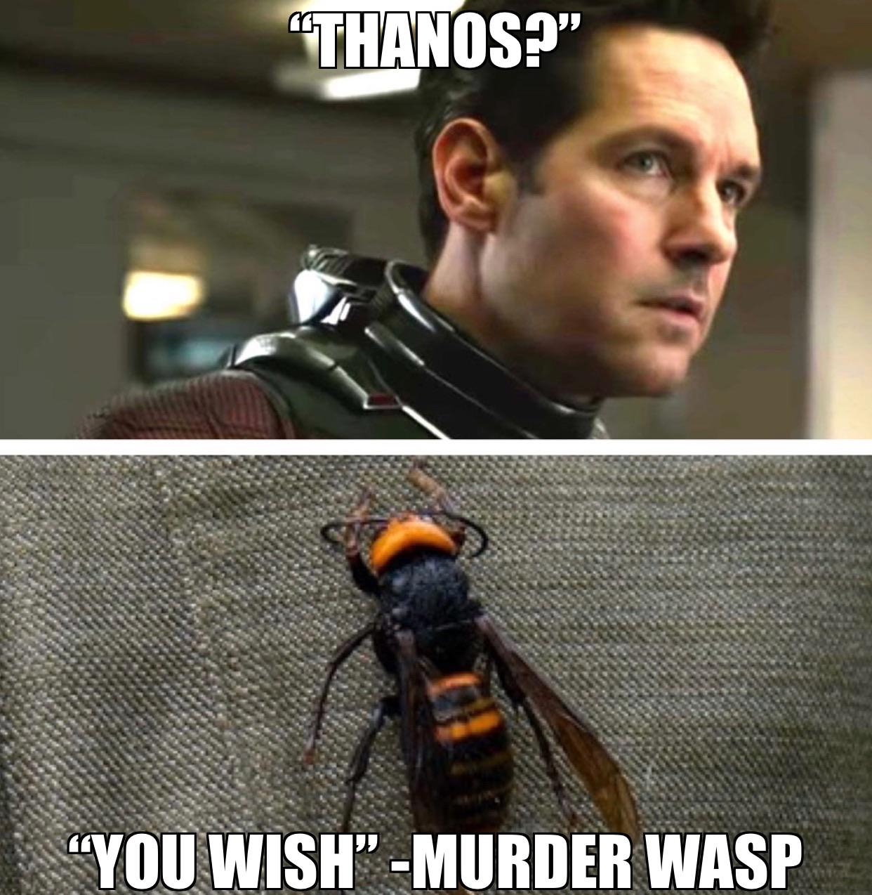 Thanos,  Avengers Memes Thanos,  text: 町 ① 