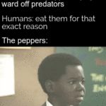 Dank Memes Dank, God text: God: makes peppers spicy to ward off predators Humans: eat them for that exact reason The peppers:  Dank, God
