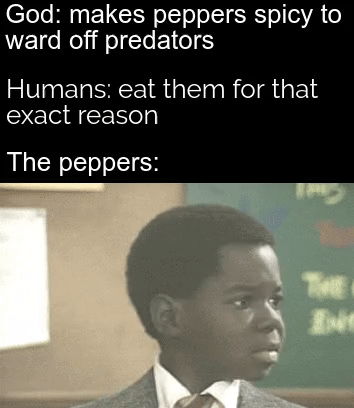 Dank, God Dank Memes Dank, God text: God: makes peppers spicy to ward off predators Humans: eat them for that exact reason The peppers: 