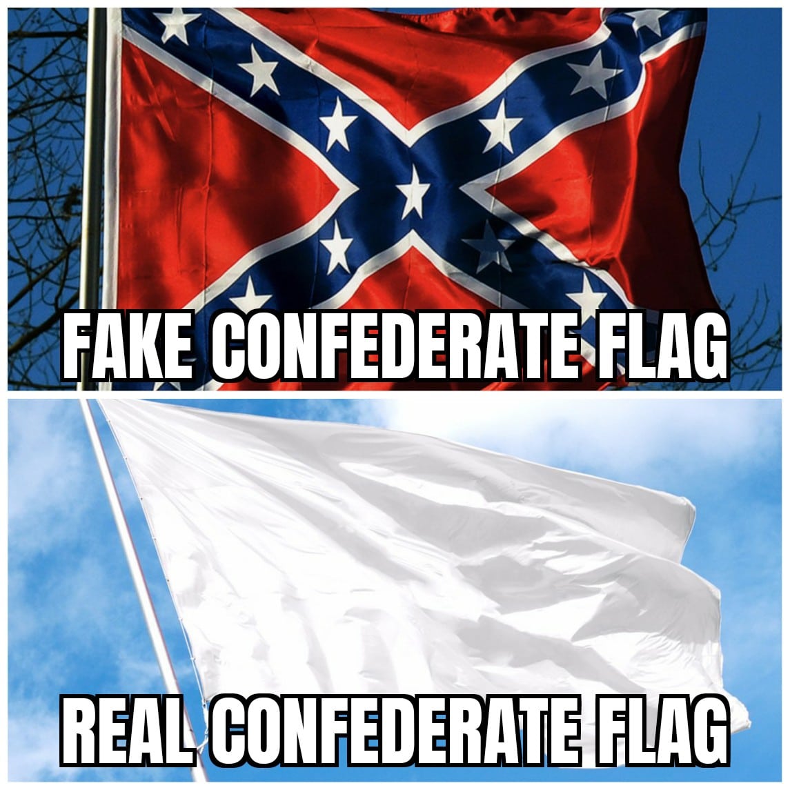 Political, French, France, Florida, Confederate, Nazi Political Memes Political, French, France, Florida, Confederate, Nazi text: FAKE CONFEDERATE*LAG FLAG, 