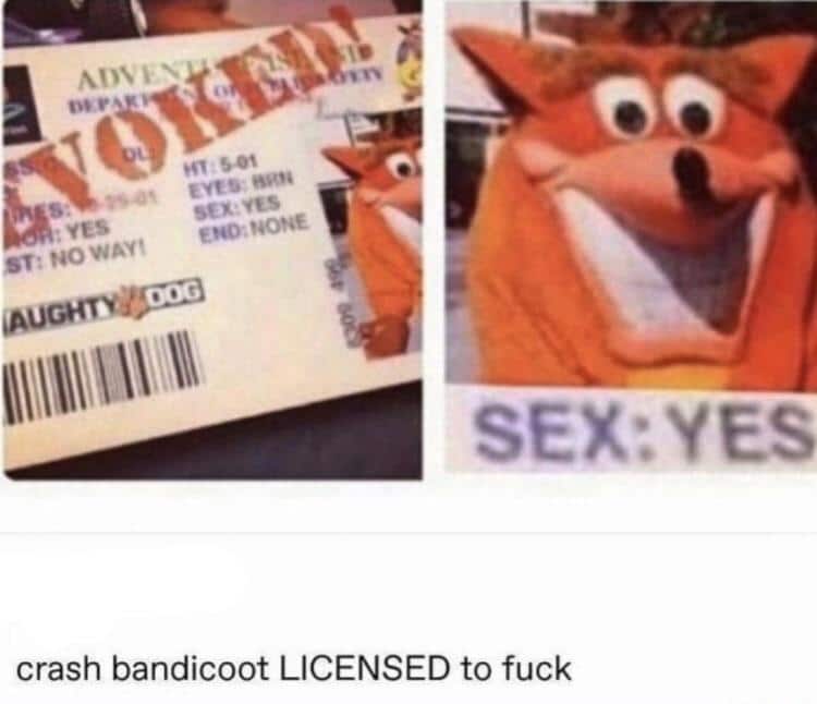 Funny, REVOKED, Bandicoot, Spacehog, Naughty, Crash Bandicoot other memes Funny, REVOKED, Bandicoot, Spacehog, Naughty, Crash Bandicoot text: ego. SEX•.YES crash bandicoot LICENSED to fuck 