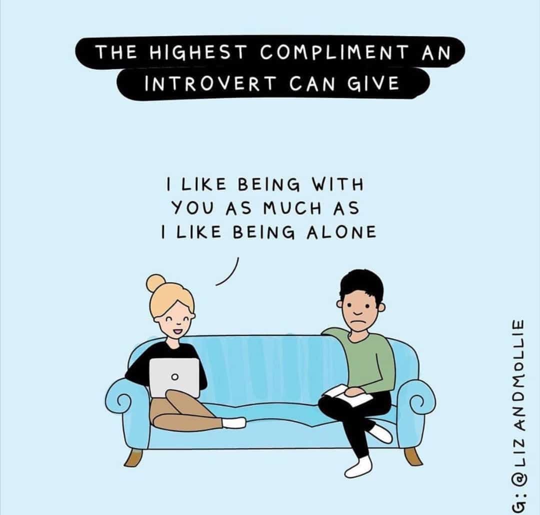 Wholesome memes, Elite Wholesome Memes Wholesome memes, Elite text: THE HIGHEST COMPLIhENT AN INTROVERT CAN GIVE I LIKE BEING WITH YOU AS MUCH AS I LIKE BEING ALONE 