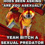 Deep Fried Memes Deep-fried, Destiny text: FIHOES BEEN ASKING "ARE YOU ASEXUAL*" YEAH ,BITCHLA SEXUAL PREDATOR  Deep-fried, Destiny
