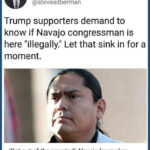 Political Memes Political, Trump, America, Native Americans, Navajo, Fox News text: Steve Silberman O @stevesilberman Trump supporters demand to know if Navajo congressman is here "illegally." Let that sink in for a moment. 
