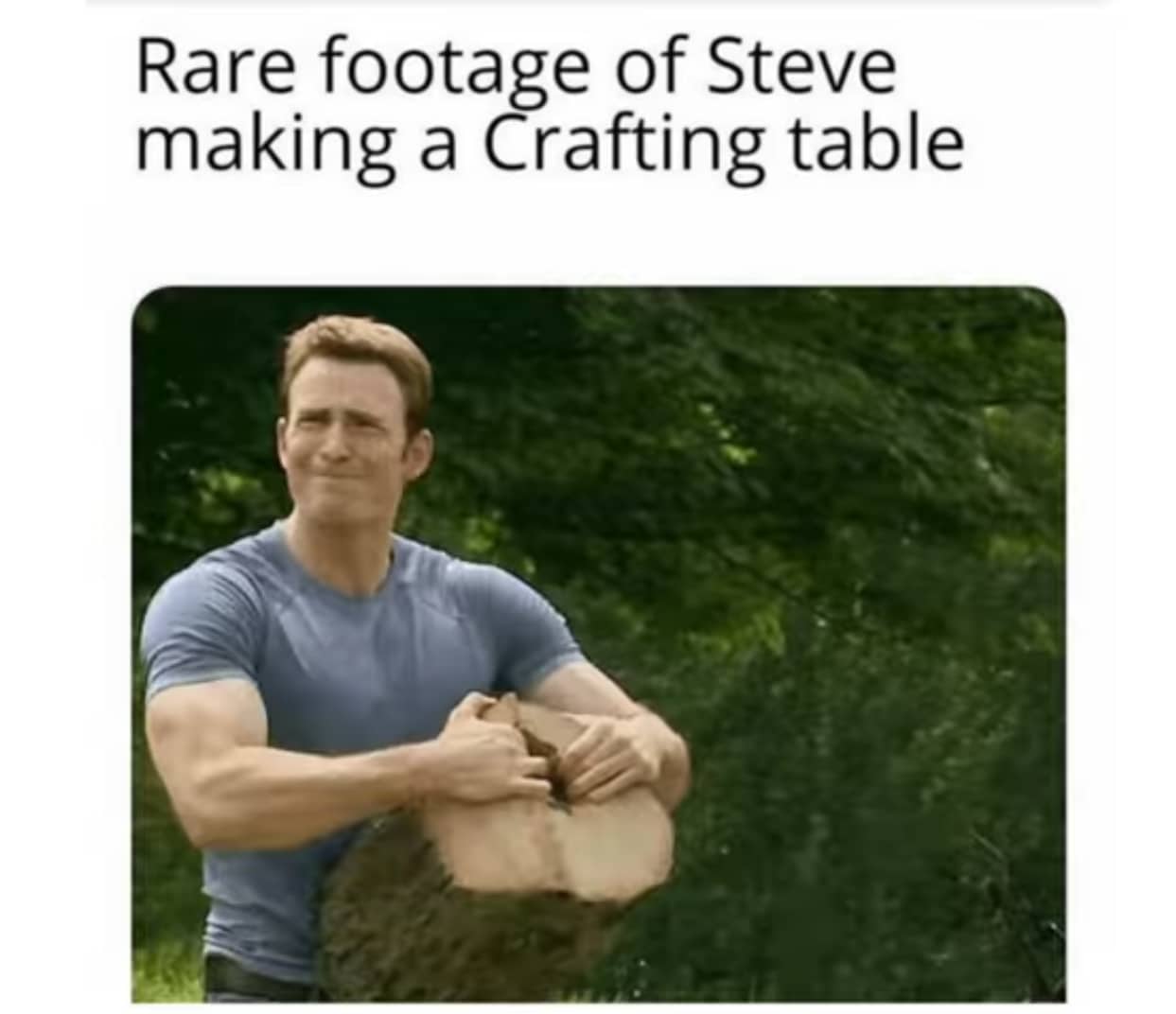 Minecraft, RepostSleuthBot, Visit, Negative, Feedback, False Negative minecraft memes Minecraft, RepostSleuthBot, Visit, Negative, Feedback, False Negative text: Rare footage of Steve making a Crafting table 