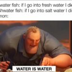 Water Memes Water, Alaska, Salmon, Illinois, Homie text: Saltwater fish: if I go into fresh water I die Freshwater fish: if I go into salt water I die Salmon: WATER IS WATER 