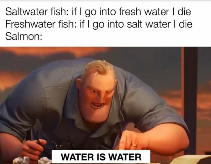 Water, Alaska, Salmon, Illinois, Homie Water Memes Water, Alaska, Salmon, Illinois, Homie text: Saltwater fish: if I go into fresh water I die Freshwater fish: if I go into salt water I die Salmon: WATER IS WATER 