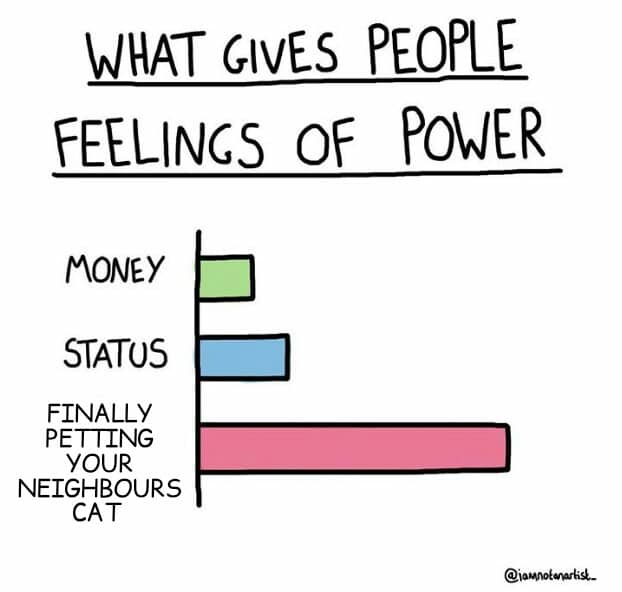 Wholesome memes,  Wholesome Memes Wholesome memes,  text: WHAT GIVES PEOPLE of POWER mONEY STATOS FINALLY PETTING YOUR NEIGHBOURS CAT 