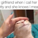 Wholesome Memes Wholesome memes,  text: My girlfriend when i call her pretty and she knows i mean it  Wholesome memes, 