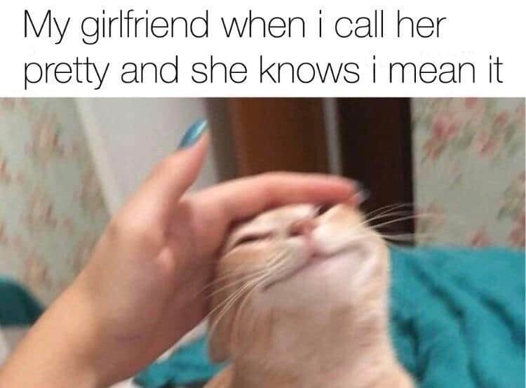 Wholesome memes,  Wholesome Memes Wholesome memes,  text: My girlfriend when i call her pretty and she knows i mean it 
