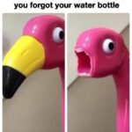 Water Memes Water,  text: Chillin at the park and realizing you forgot your water bottle  Water, 