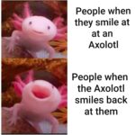 Wholesome Memes Wholesome memes, Somebody text: People when they smile at at an Axolotl People when the Axolotl smiles back at them  Wholesome memes, Somebody