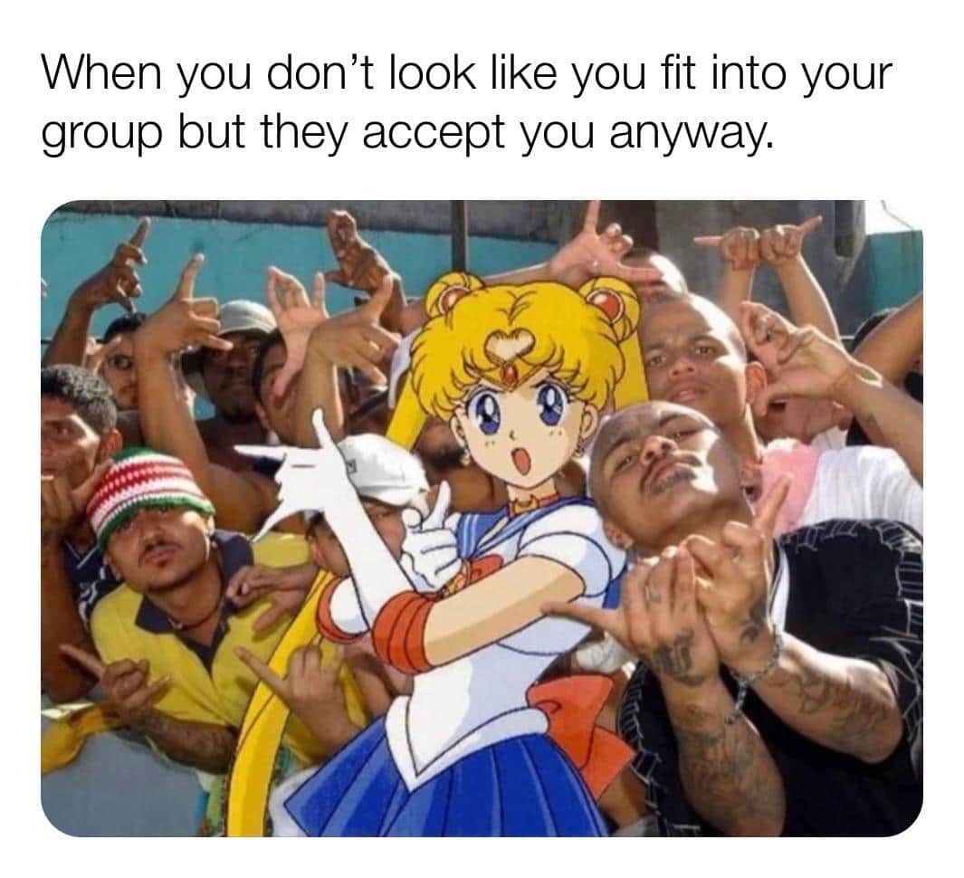 Cute, Looks, Sailor Moon Wholesome Memes Cute, Looks, Sailor Moon text: When you don't look like you fit into your group but they accept you anyway. 
