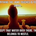 Water Memes Water, Nestle, Visit, RepostSleuthBot, Negative, HydroHomies text: EVERYTHING