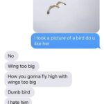 cringe memes Cringe, Hannibal Buress text: i took a picture of a bird do u like her No Wing too big How you gonna fly high with wings too big Dumb bird I hate him  Cringe, Hannibal Buress