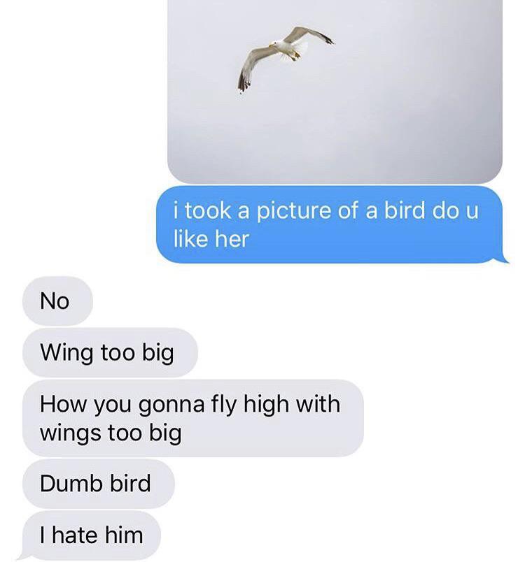 Cringe, Hannibal Buress cringe memes Cringe, Hannibal Buress text: i took a picture of a bird do u like her No Wing too big How you gonna fly high with wings too big Dumb bird I hate him 