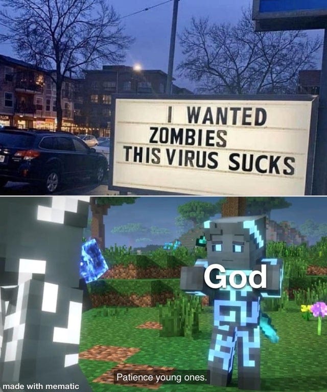 Minecraft,  minecraft memes Minecraft,  text: I WANTED ZOMBIES THIS VIRUS SUCKS -r Patience young ones. 