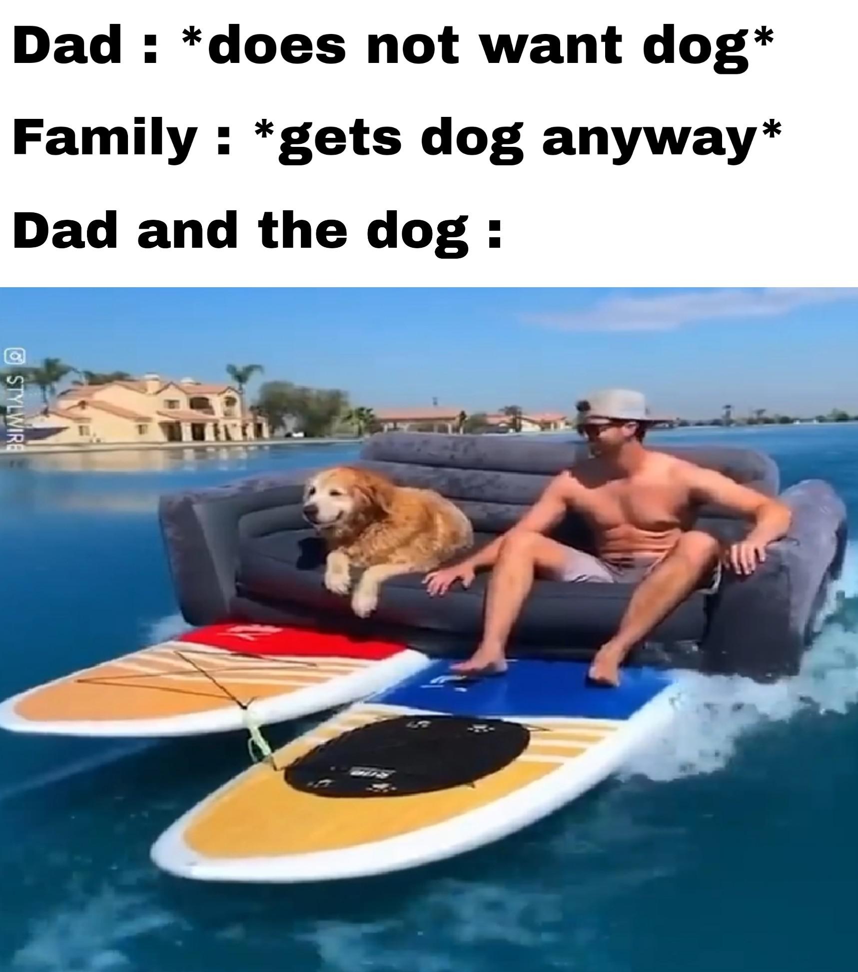 Funny, Cake Day, This Is Patrick, Mom other memes Funny, Cake Day, This Is Patrick, Mom text: Dad : *does not want dog* Family : *gets dog anyway* Dad and the dog : 