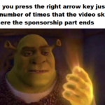 Dank Memes Dank, Shrek, Fiona, Donkey, Puss, Mom text: When you press the right arrow key just the right number of times that the video skips to where the sponsorship part ends 