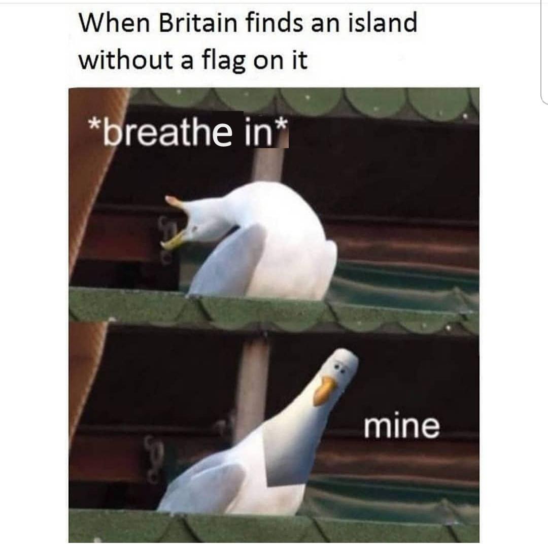 Funny, India, British, America, USA, Brit other memes Funny, India, British, America, USA, Brit text: When Britain finds an island without a flag on it *greathe in* mine 