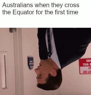 Cute, Australians, Australia, South America, Reddit, Aussie Dank Memes Cute, Australians, Australia, South America, Reddit, Aussie text: Australians when they cross the Equator for the first time 
