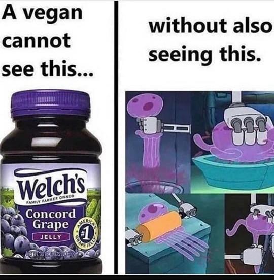 Spongebob, Jell Spongebob Memes Spongebob, Jell text: vegan :annot see this... Welch's Concord Grape JELLY without also seeing this. 