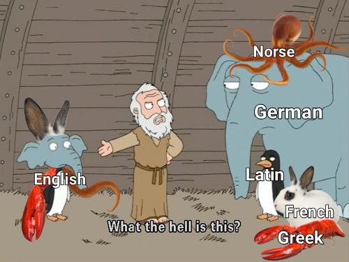 History, Latin, French, Norse, Germanic, Arabic History Memes History, Latin, French, Norse, Germanic, Arabic text: En flish Norse' Latin What the hell is this? 