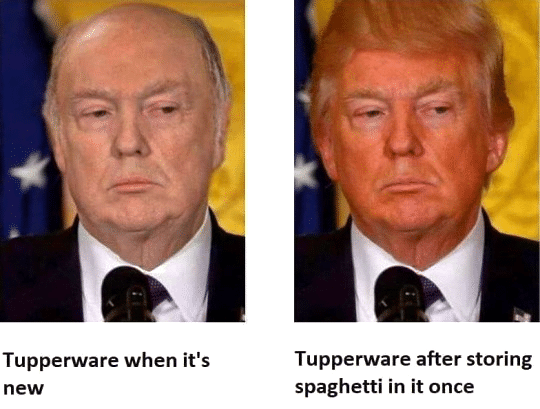 Political, Tupperware, Trump, Vendetta, Trumpers, Raymond Reddington Political Memes Political, Tupperware, Trump, Vendetta, Trumpers, Raymond Reddington text: Tupperware when it's new Tupperware after storing spaghetti in it once 