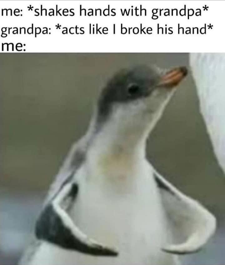 Cute, wholesome memes, Grandpa Wholesome Memes Cute, wholesome memes, Grandpa text: me: *shakes hands with grandpa* grandpa: *acts like I broke his hand* me: 
