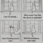 depression memes Depression, Avoidant text: I am So lonely.... Don