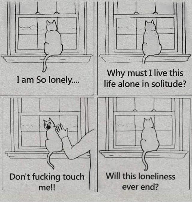 Depression, Avoidant depression memes Depression, Avoidant text: I am So lonely.... Don't fucking touch me!! Why must I live this life alone in solitude? Will this loneliness ever end? 