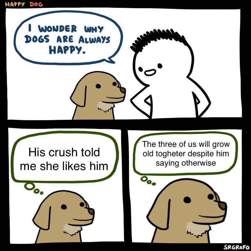 Wholesome memes,  Wholesome Memes Wholesome memes,  text: DOG I WONDER DO'S ARE ALWAYS NAPPY. His crush told me she likes him The three of us will grow old togheter despite him saying otherwise SRGRAFO 