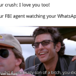 Wholesome Memes Cute, wholesome memes, Sam text: Your crush: I love you too! Your FBI agent watching your WhatsApp: mYdQUiäWekt ou of a bitch, you did it  Cute, wholesome memes, Sam