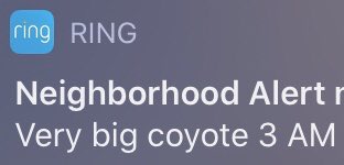 Cringe,  cringe memes Cringe,  text: RING Neighborhood Alert r Very big coyote 3 AM 