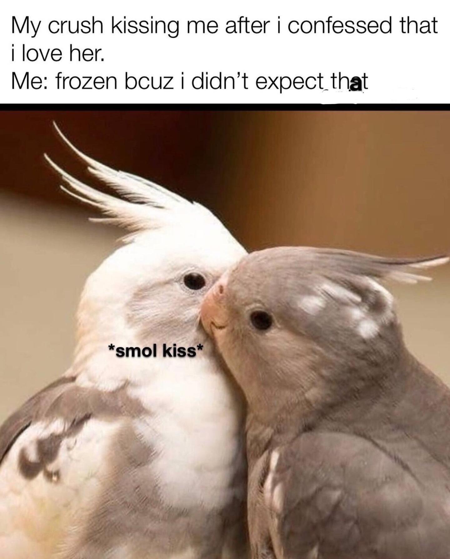 Wholesome memes, Power Wholesome Memes Wholesome memes, Power text: My crush kissing me after i confessed that i love her. Me: frozen bcuz i didn't expect that *smol kiss* 