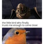 Wholesome Memes Cute, wholesome memes, Kenobi text: Me, just sat in the garden the little bird who finally trusts me enough to come close: lhhél"lé ghere  Cute, wholesome memes, Kenobi