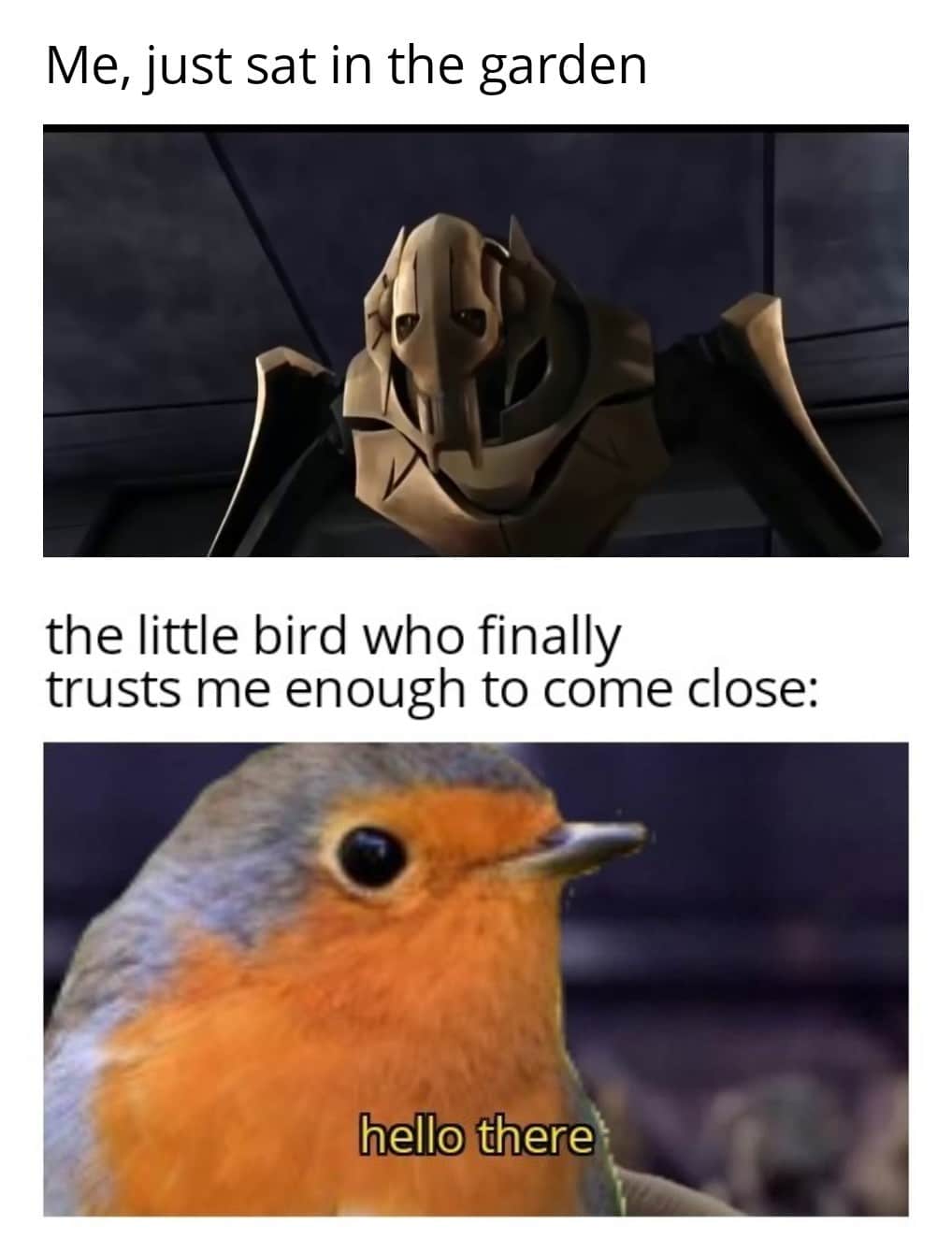 Cute, wholesome memes, Kenobi Wholesome Memes Cute, wholesome memes, Kenobi text: Me, just sat in the garden the little bird who finally trusts me enough to come close: lhhél