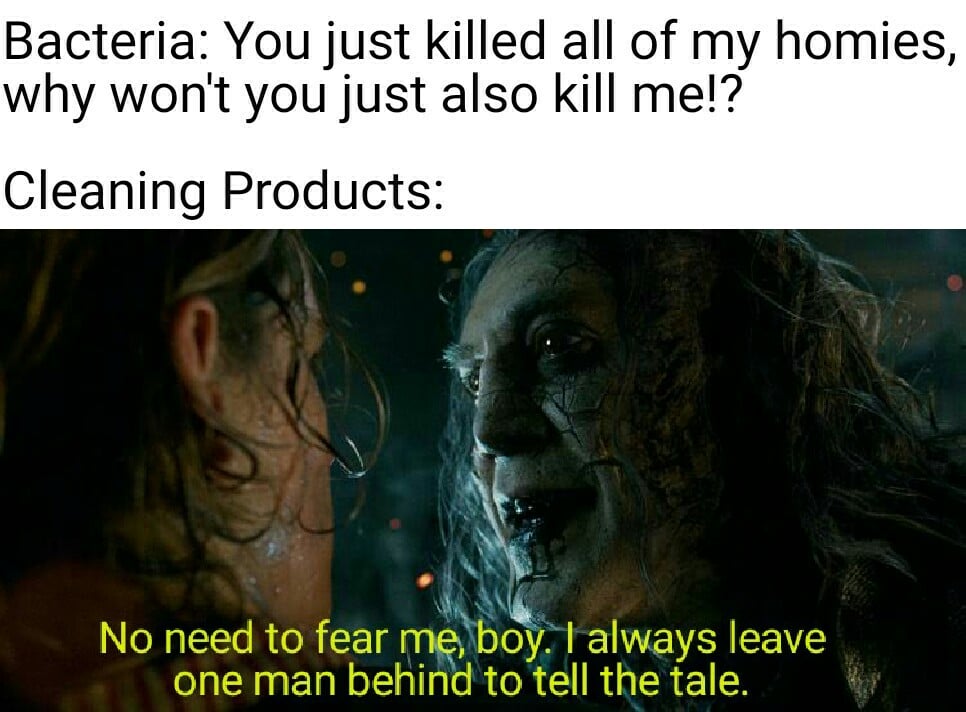 Funny, Poor Bacteria other memes Funny, Poor Bacteria text: Bacteria: You just killed all of my homies, why won't you just also kill me!? Cleaning Products: No need to fear me, o always leave one man behind to tell the tale. 