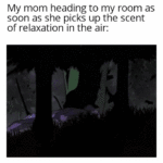 Dank Memes Dank, Evangelion, Eva, Relaxation, Mom, Genesis Evangelion text: My mom heading to my room as soon as she picks up the scent of relaxation in the air:  Dank, Evangelion, Eva, Relaxation, Mom, Genesis Evangelion