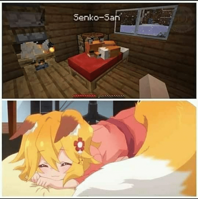 Anime, Slepy Fox Anime Memes Anime, Slepy Fox text: Senko—Sa 