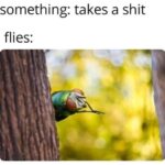 Dank Memes Dank, Visit, Negative, Feedback, False Negative, False text: something: takes a shit flies:  Dank, Visit, Negative, Feedback, False Negative, False