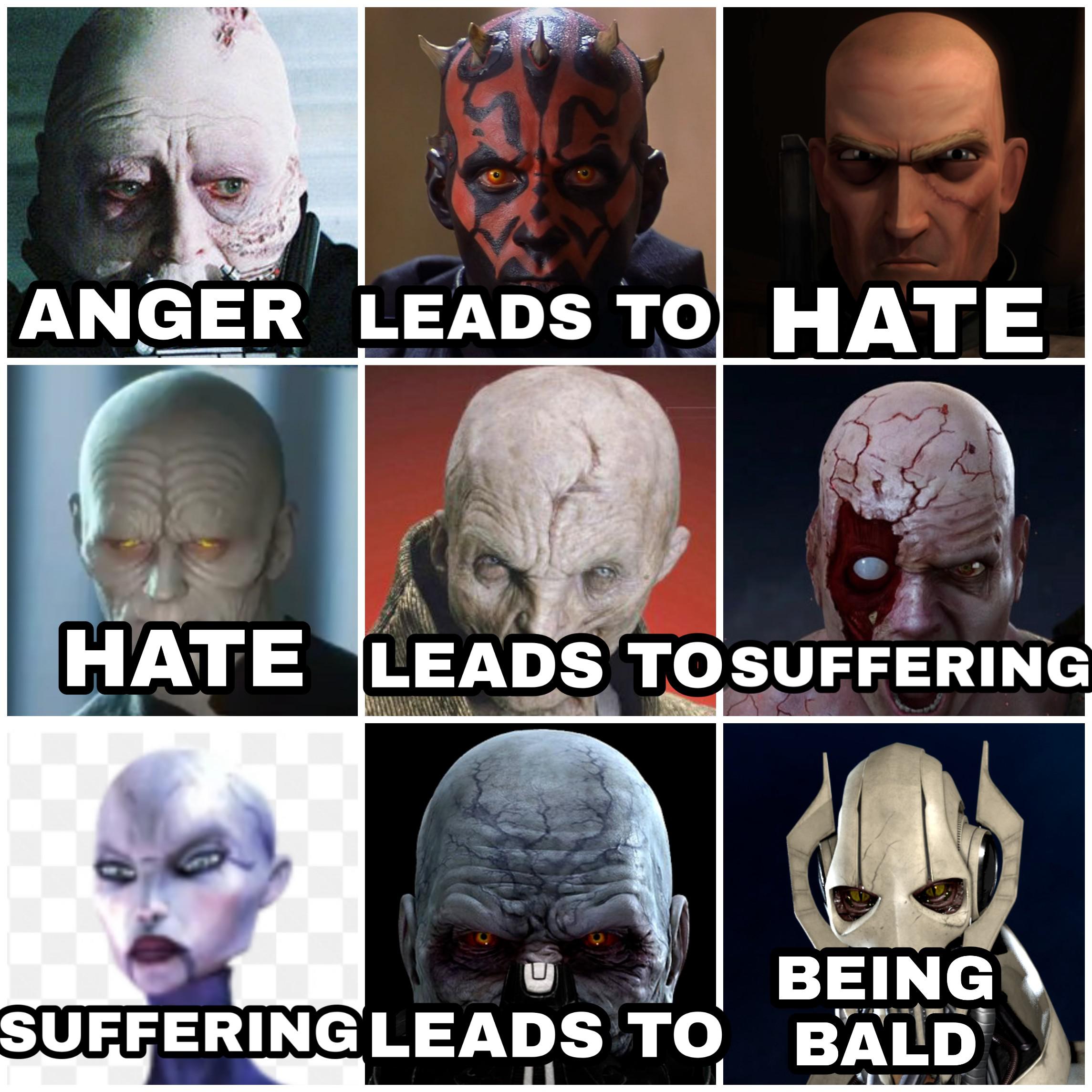 Prequel-memes, Sith, Sion, Dooku, Snoke, Ventress Star Wars Memes Prequel-memes, Sith, Sion, Dooku, Snoke, Ventress text: ANGER HATE LEADS TO HATE LEADS TOSUFFERING SUFFERING LEADS TO BEING BÄLD 