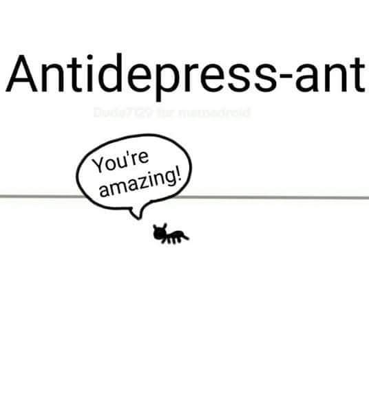 Wholesome memes, Thank Wholesome Memes Wholesome memes, Thank text: Antidepress-ant Modre amazmg\. 