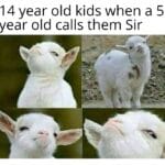 other memes Funny, Sir, Mr text: 14 year old kids when a 5 year old calls them Sir  Funny, Sir, Mr