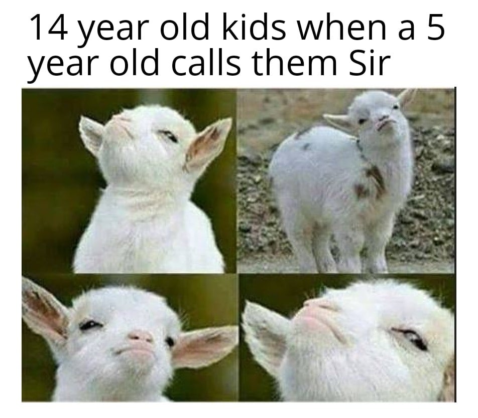 Funny, Sir, Mr other memes Funny, Sir, Mr text: 14 year old kids when a 5 year old calls them Sir 