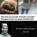 other memes Funny, Sun Tzu, Tzu, Malaysia, Feedback, Wl9 text: Man Uses an Avocado 